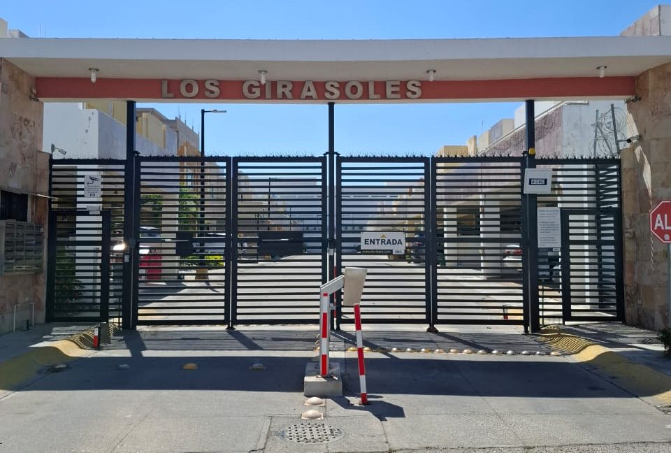 losgirasoles