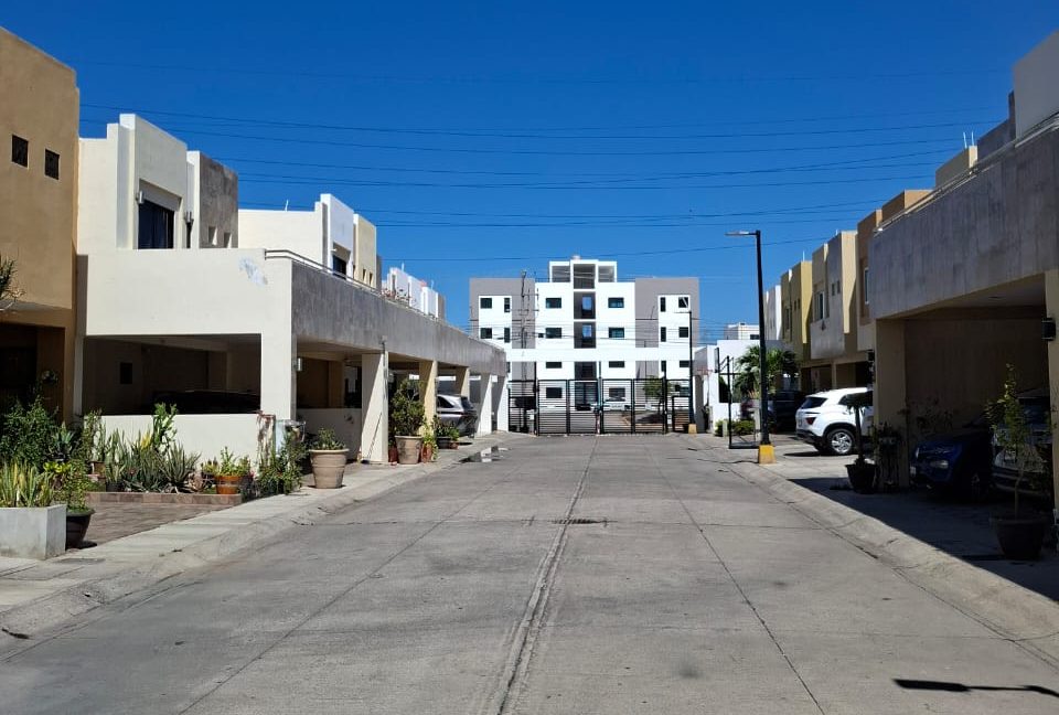 losgirasoles8